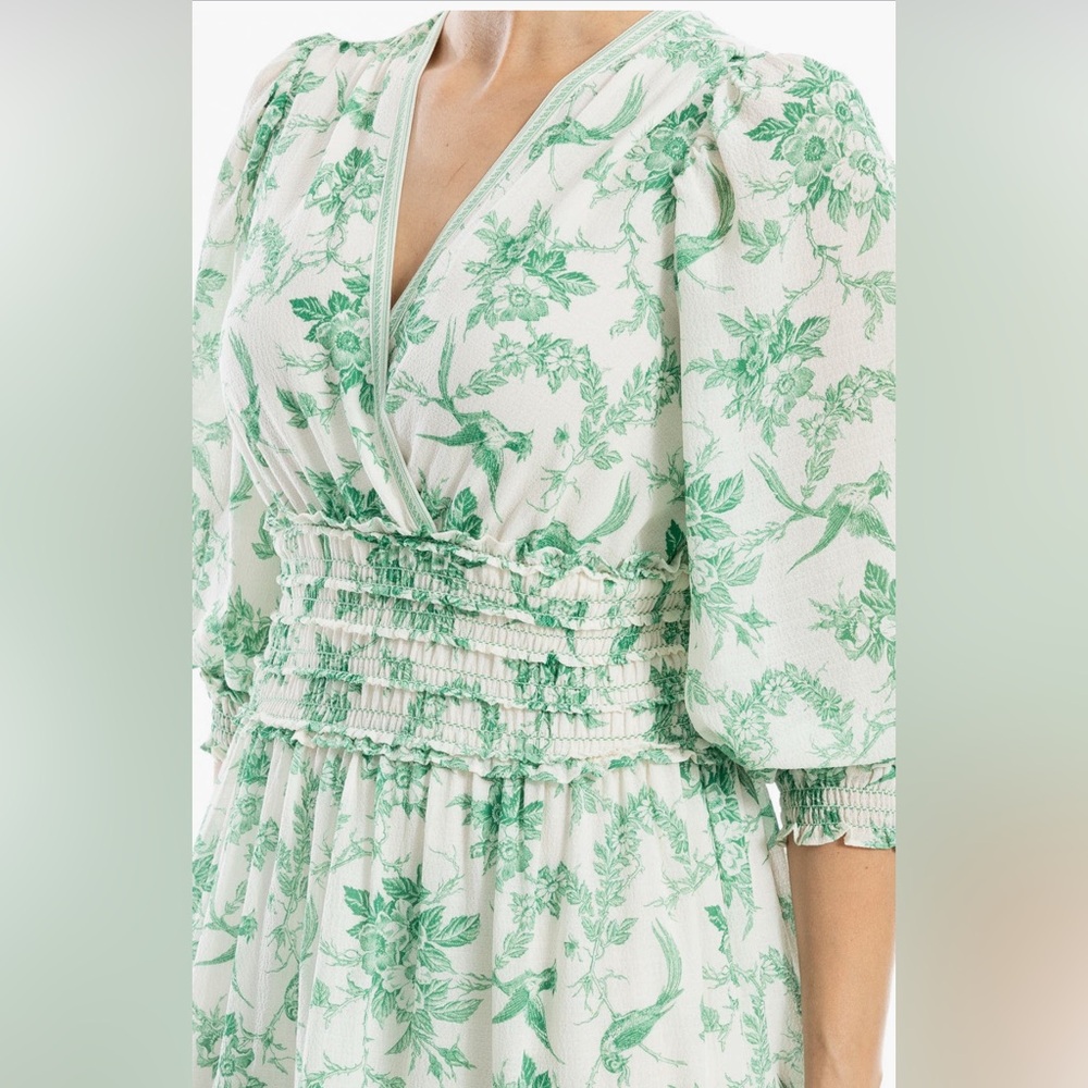 Toile Green (size xs) Dress - Picture 3 of 3